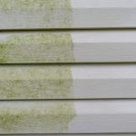Read more about the article How To Clean Vinyl Siding